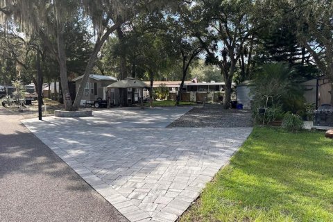 Land in Salt Springs, Florida № 2092476