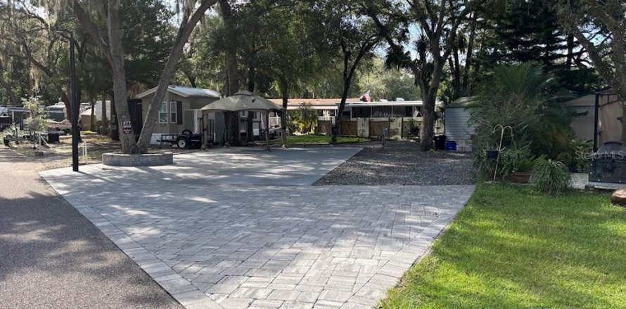 Land in Salt Springs, Florida № 2092476