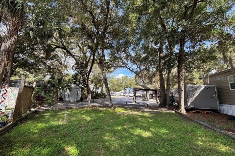 Land in Salt Springs, Florida № 2092476 - photo 10