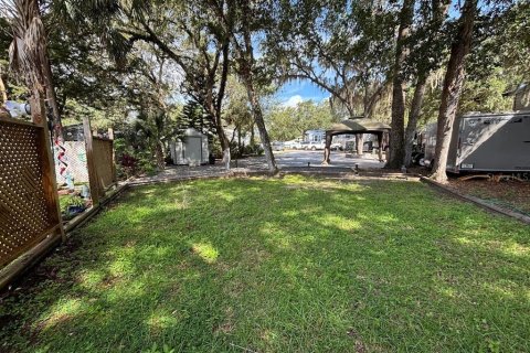 Land in Salt Springs, Florida № 2092476 - photo 9