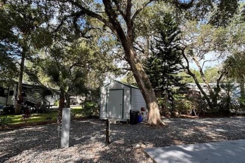 Land in Salt Springs, Florida № 2092476 - photo 6
