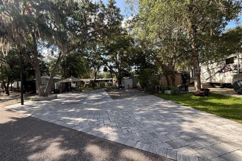 Land in Salt Springs, Florida № 2092476 - photo 3