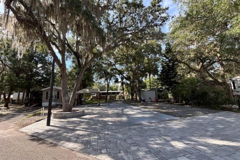Land in Salt Springs, Florida № 2092476 - photo 4