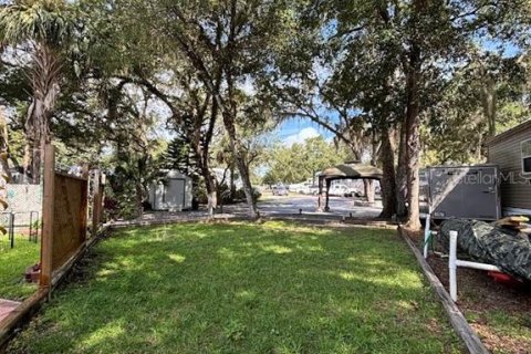 Land in Salt Springs, Florida № 2092476 - photo 8