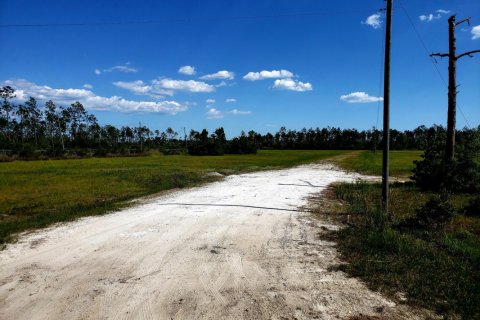 Land in Port Saint Joe, Florida № 558215 - photo 1