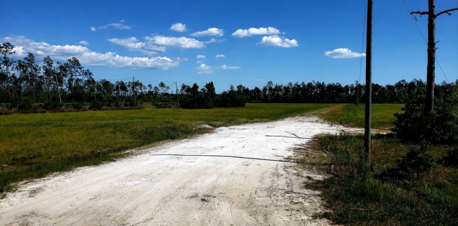 Land in Port Saint Joe, Florida № 558215