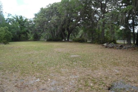 Land in Spring Hill, Florida № 1561303 - photo 4