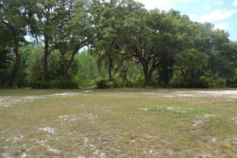 Land in Spring Hill, Florida № 1561303 - photo 2