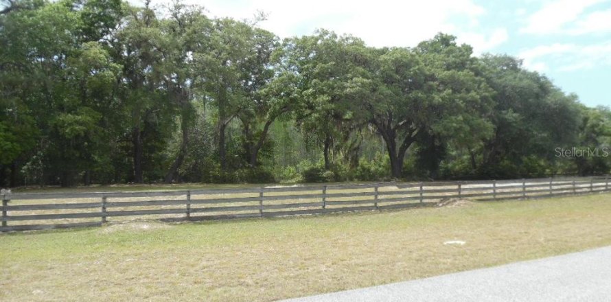 Land in Spring Hill, Florida № 1561303