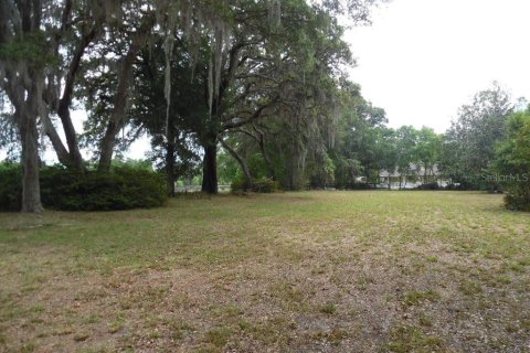 Land in Spring Hill, Florida № 1561303 - photo 5