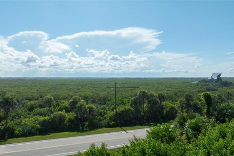 Terrain à vendre à New Smyrna Beach, Floride № 2217844 - photo 20