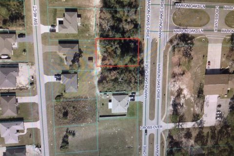 Land in Ocala, Florida № 2160954 - photo 2