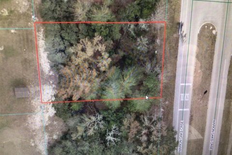 Land in Ocala, Florida № 2160954
