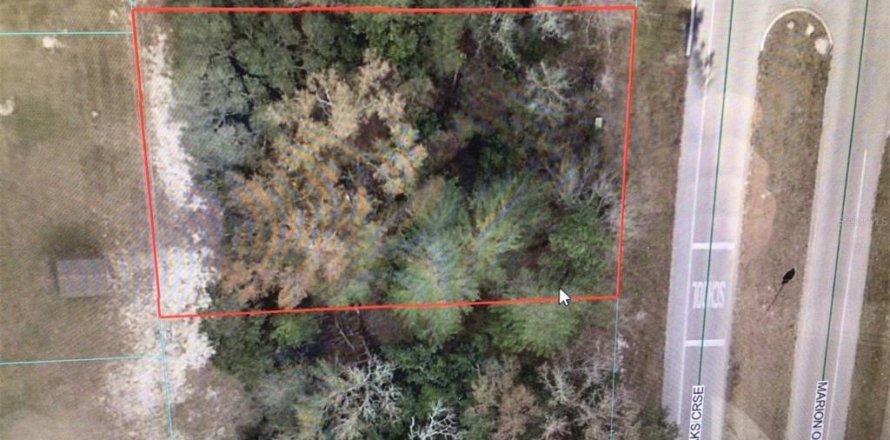 Land in Ocala, Florida № 2160954