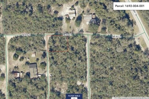 Land in Salt Springs, Florida № 2159583 - photo 9