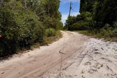 Land in Salt Springs, Florida № 2159583 - photo 14