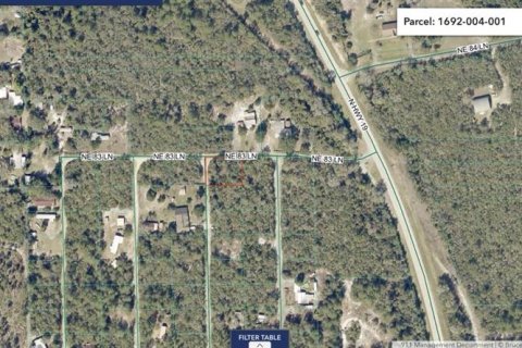 Land in Salt Springs, Florida № 2159583 - photo 11