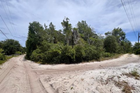Land in Salt Springs, Florida № 2159583 - photo 2