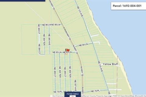 Land in Salt Springs, Florida № 2159583 - photo 12
