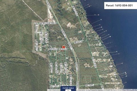 Land in Salt Springs, Florida № 2159583 - photo 13