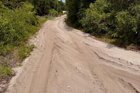 Land in Salt Springs, Florida № 2159583 - photo 15