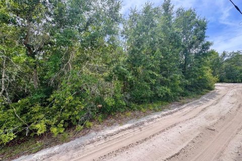 Land in Salt Springs, Florida № 2159583 - photo 4