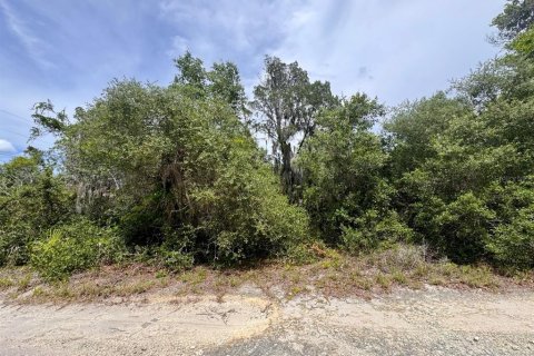 Land in Salt Springs, Florida № 2159583
