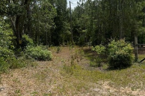 Terreno en venta en Clermont, Florida № 1822498 - foto 3