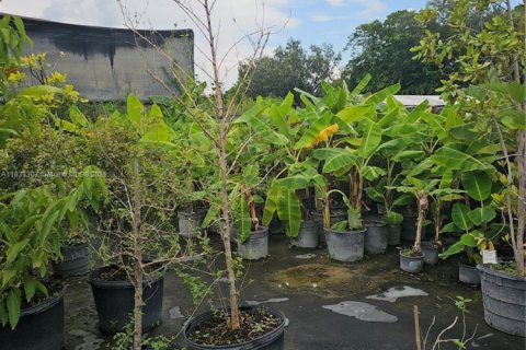 Immobilier commercial à vendre à Homestead, Floride № 2023359 - photo 12