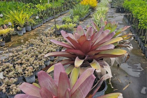 Immobilier commercial à vendre à Homestead, Floride № 2023359 - photo 4