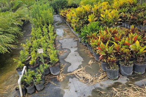 Immobilier commercial à vendre à Homestead, Floride № 2023359 - photo 5