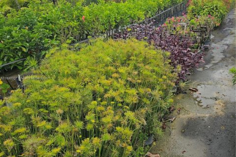 Immobilier commercial à vendre à Homestead, Floride № 2023359 - photo 8