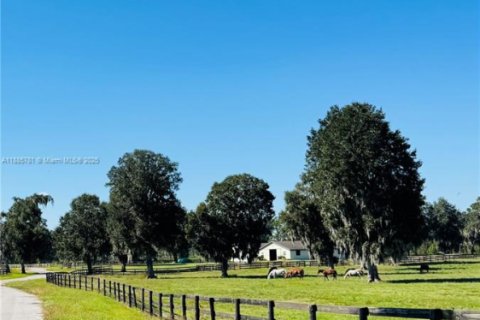 Propiedad comercial en venta en Ocala, Florida № 2015626 - foto 23