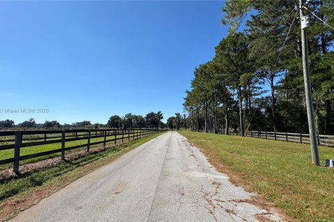 Propiedad comercial en venta en Ocala, Florida № 2015626 - foto 6