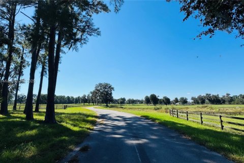 Propiedad comercial en venta en Ocala, Florida № 2015626 - foto 9