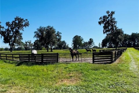 Propiedad comercial en venta en Ocala, Florida № 2015626 - foto 25