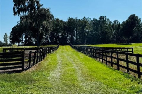 Propiedad comercial en venta en Ocala, Florida № 2015626 - foto 24