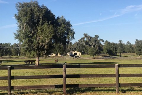 Propiedad comercial en venta en Ocala, Florida № 2015626 - foto 3