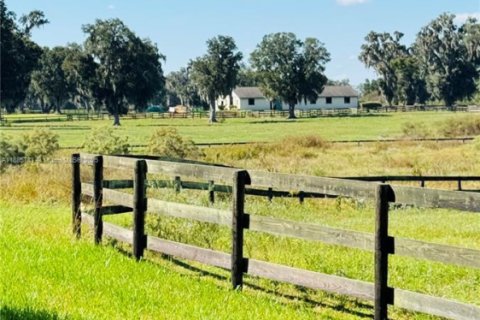 Propiedad comercial en venta en Ocala, Florida № 2015626 - foto 8