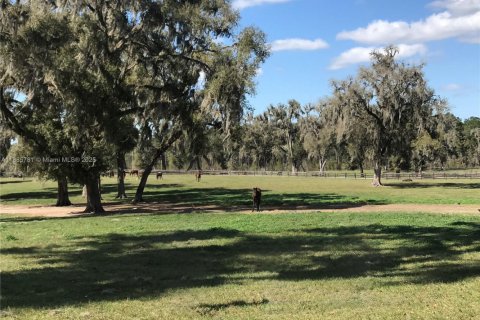 Propiedad comercial en venta en Ocala, Florida № 2015626 - foto 2