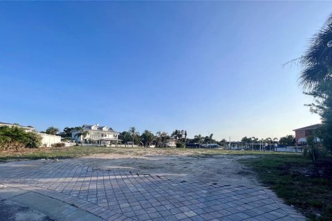 Land in Largo, Florida № 1880628 - photo 5