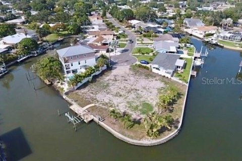 Land in Largo, Florida № 1880628 - photo 7