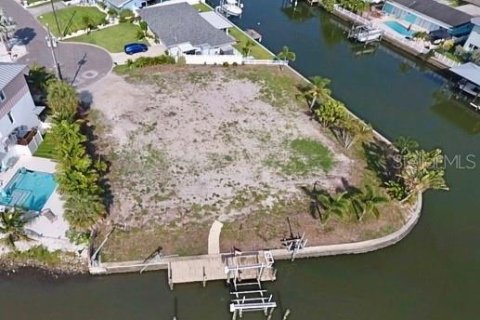 Land in Largo, Florida № 1880628 - photo 1