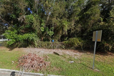 Land in Bradenton, Florida № 1677506 - photo 2
