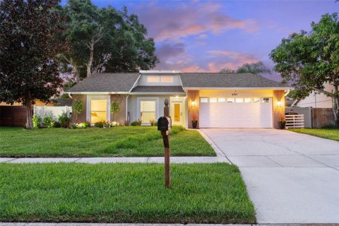 House in Tampa, Florida 3 bedrooms, 137.5 sq.m. № 1829961 - photo 1