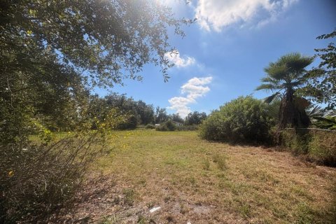Terrain à vendre à Ruskin, Floride № 2143914 - photo 6