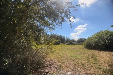 Terrain à vendre à Ruskin, Floride № 2143914 - photo 7