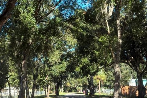 Terrain à Ruskin, Floride № 2143914