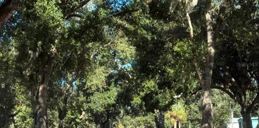 Terrain à Ruskin, Floride № 2143914