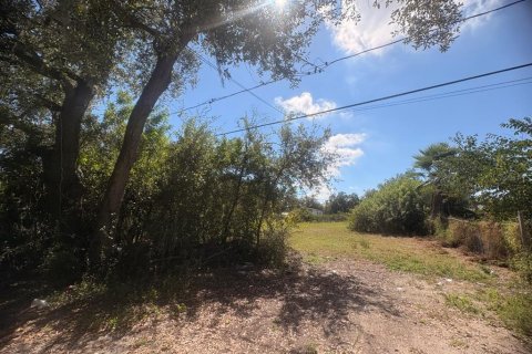 Terrain à vendre à Ruskin, Floride № 2143914 - photo 4